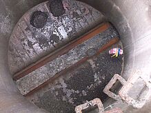 Großräumige Rattenbekämfung Anbieter